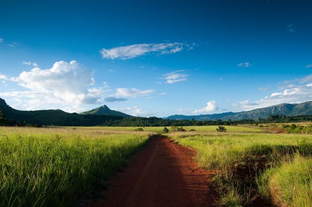 Het schitterende Kruger National Park