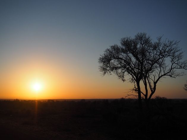 krugerpark-zuid-afrika-28.jpeg
