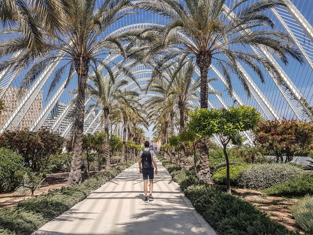 Wandel zeker even door de palmbomentuin L`Umbracle