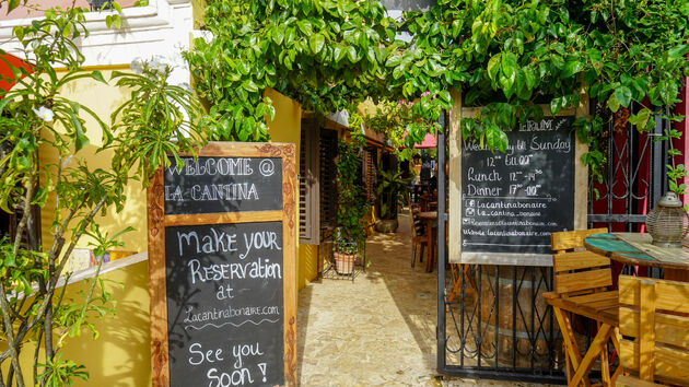 <i>Een gezellige groene oase bij La Cantina</i>