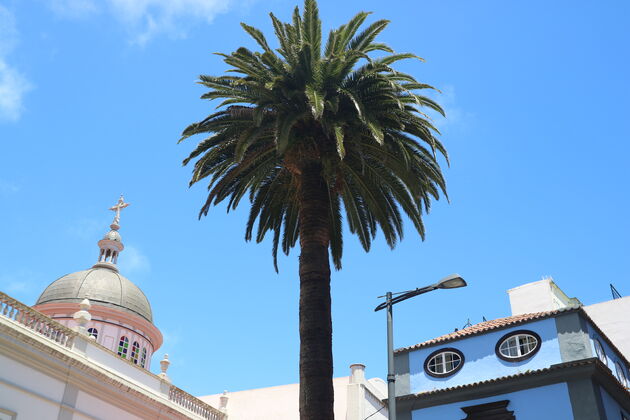 La Laguna Tenerife