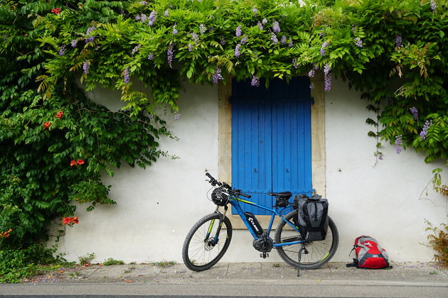 La Velo Francette: fietsen in de Marais Poitevin is een feestje
