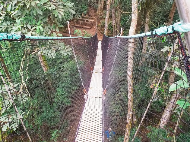 laatste-deel-loopbrug-nyungwe-rwanda.jpeg