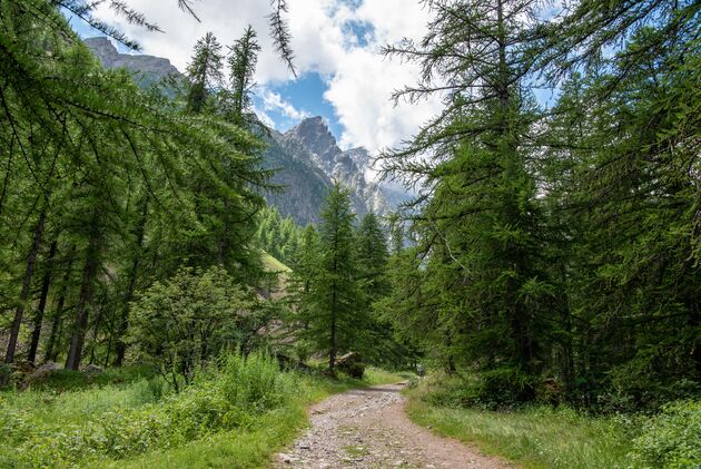 Genieten van waanzinnig uitzicht op de Franse bergtoppen