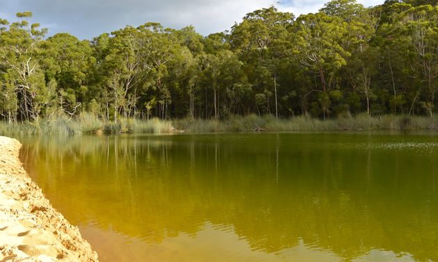 Het groene zoetwatermeer Lake Wabby