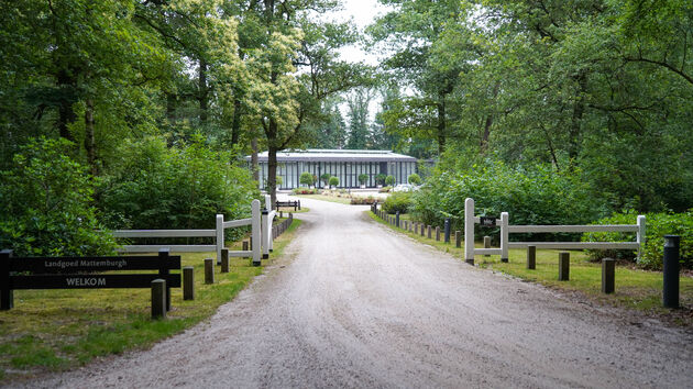 Wandelen naar de Orangerie op Landgoed Mattemburgh