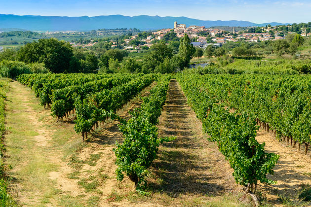 De wijnvelden rondom B\u00e9ziersFoto: 7horses - Fotolia