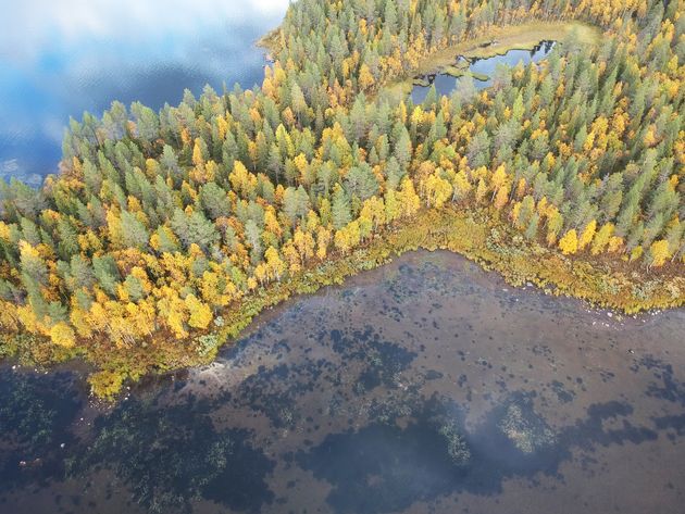 lapland-herfst-drone.jpeg