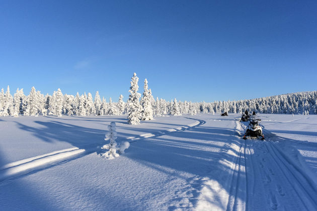 Een perfecte dag voor een tocht op de sneeuwscooter door Lapland