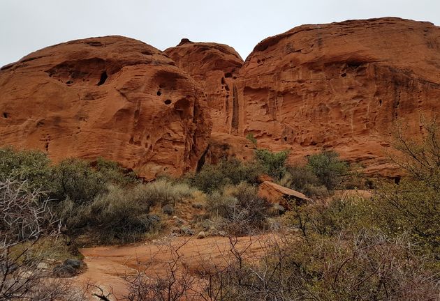 Red Rock Canyon