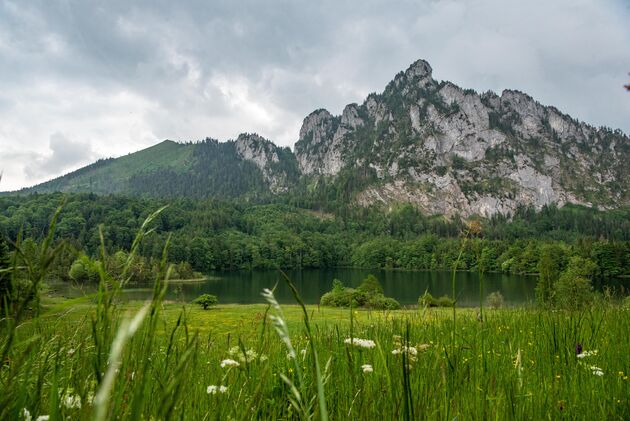 Thee met uitzicht op de Laudachsee