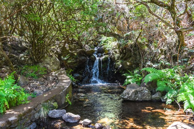 Wandelen op Madeira langs bossen en watervallen