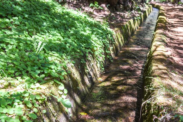 levada-madeira.jpeg