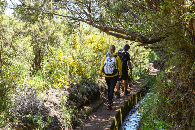 Levada do Alcerim loopt naar een mooie waterval