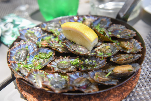 limpets-madeira.jpeg