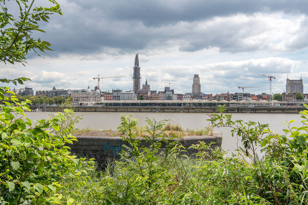 Uitzicht vanaf de linkeroever op het centrum