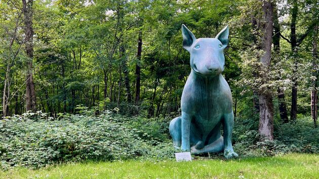 Een mega hond als eerste kennismaking bij de ingang van een lange inrit