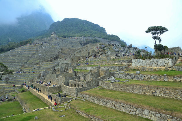 Het voelt magisch om te lopen tussen de indrukwekkende Inca-ru\u00efnes van Machu Picchu!