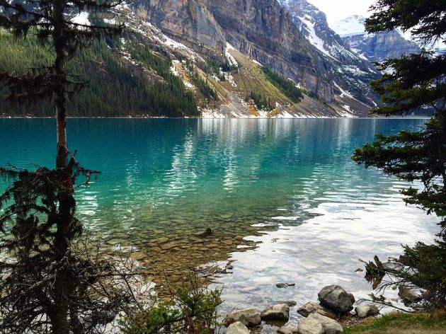 Met het juiste licht kleurt Lake Louise ook in het voorjaar al prachtig blauw met groen