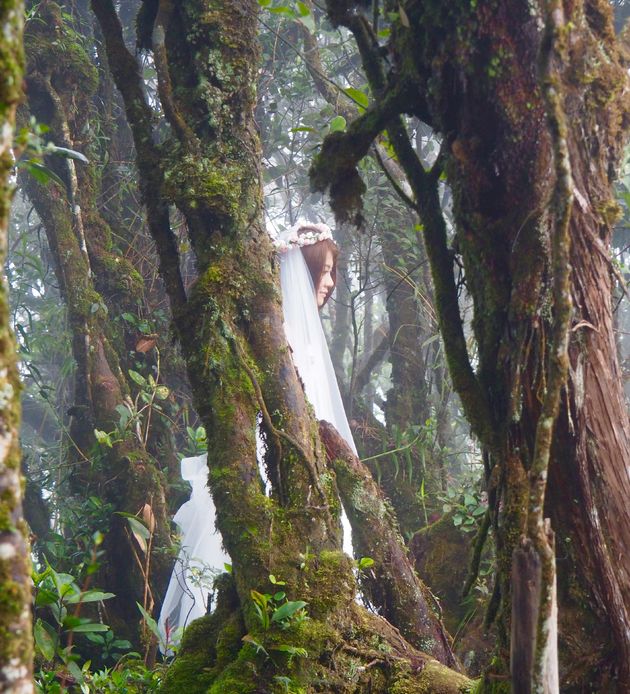 Een Maleisische bruid in het spooky mossy forest