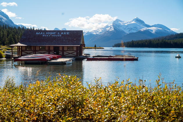 Je ogen uit rondom Maligne Lake