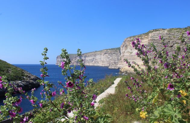 malta-groene-oase.jpeg