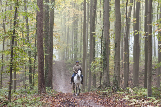 Een prachtige plek voor een ritje te paard