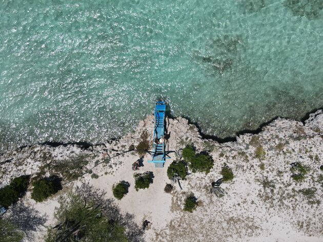 mangel-halto-aruba.jpeg
