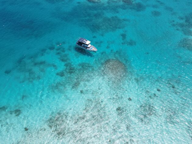 mangel-halto-strand-aruba.jpeg