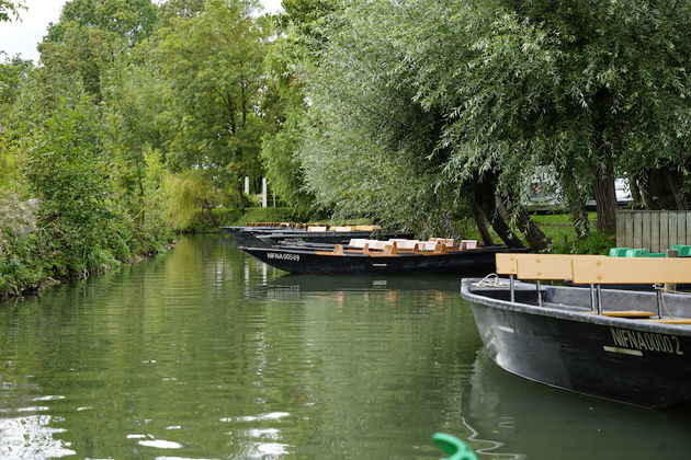 marais-poitevin-1.jpeg