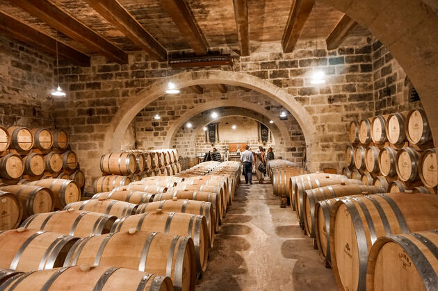 Een van de beste wijnhuizen van Malta: Marsovin Winery