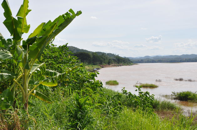 Aan de oevers van de Mekong