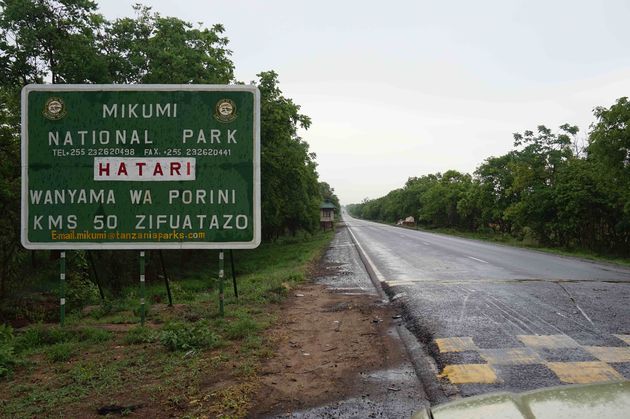 Let`s go: op safari in Mikumi National Park in Tanzania