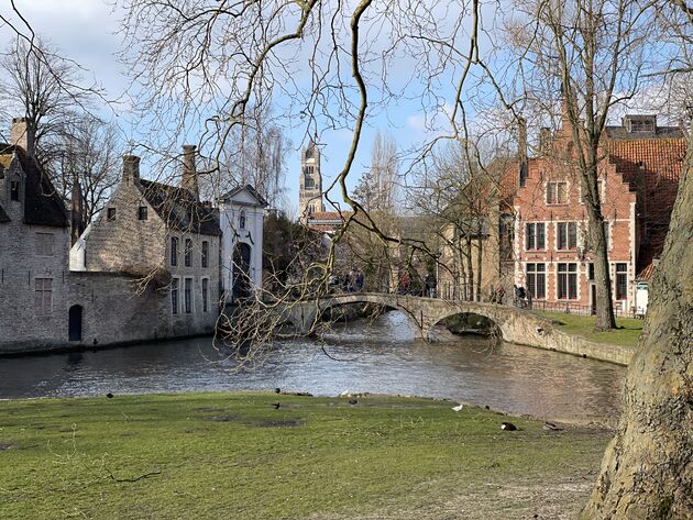 minnewaterpark-brugge.jpeg