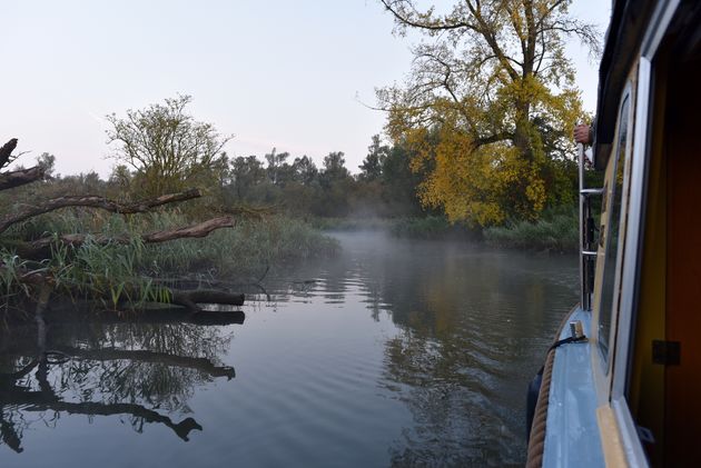 Er hangt een prachtig laagje mist boven het water