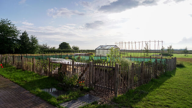 Groenten uit eigen tuin zijn natuurlijk de lekkerste