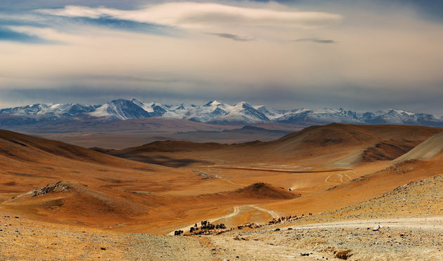 Het verlaten binnenland van Mongoli\u00eb\u00a9 Dmitry Pichugin - Adobe Stock