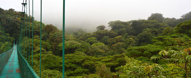 Monteverde Nationaal Park: super groen en z\u00f3 mooi! \u00a9 JRassaerts - Fotolia.com