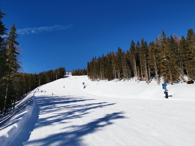 Mooie geprepareerde pistes tussen de bomen in Zuid Tirol