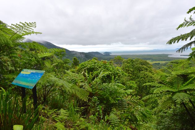 Daintree National Park is het mooiste natuurpark van Australi\u00eb