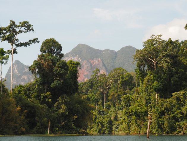 Khao Sok is het mooiste nationale park van Thailand