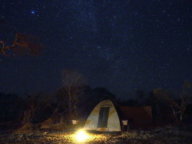 moremi-game-reserve-7.jpeg