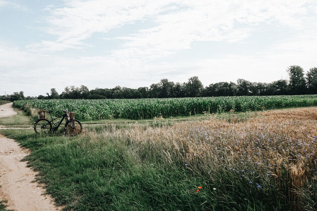 Een prachtige route van 28 kilometer