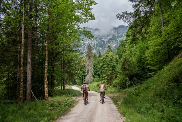 Zo tof om te doen: mountainbiken in de regio Dachstein
