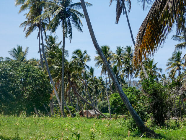 Wil jij ook deze bijzondere reis naar Mozambique maken?