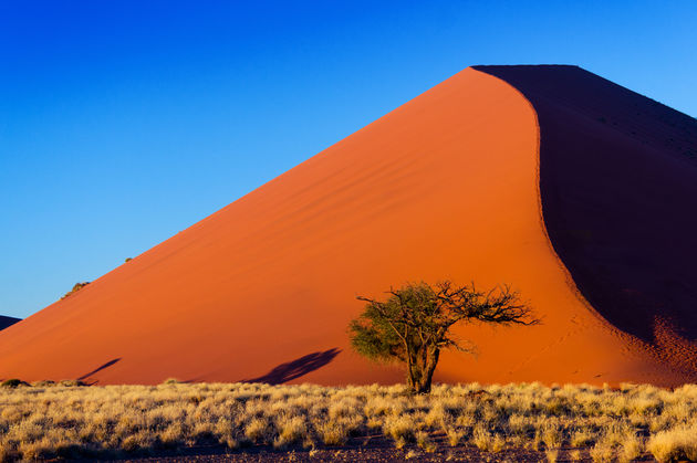 Wanneer de zon schijnt in de Namib-woestijn.Afbeelding - Adobe Stock: <span class=\