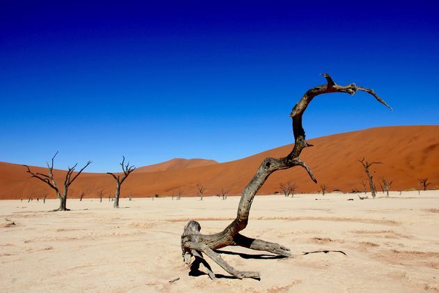 De Dodevlei is een van de meest fotogenieke plekken van Namibi\u00eb