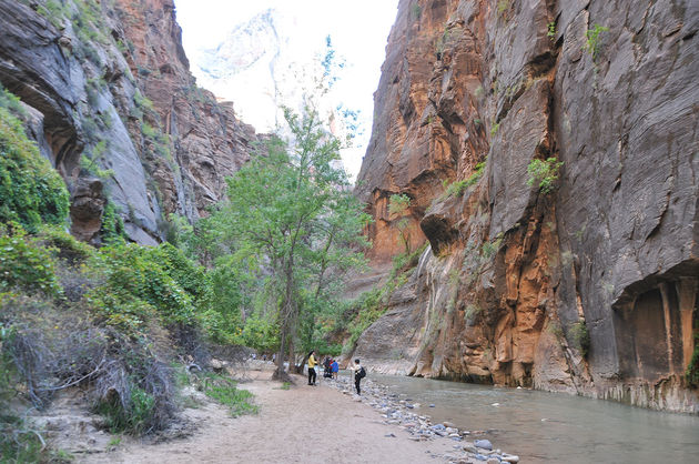 In Zion National Park heb je ook `The Narrows`. 