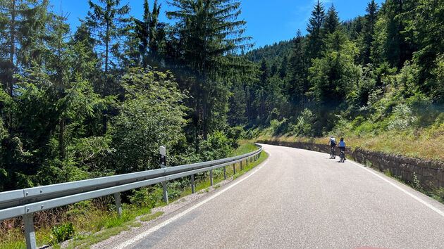Tijdens de.Schwarzwaldhochstrasse rijdt je vrijwel continu door het Nationaal Park Schwarzwald