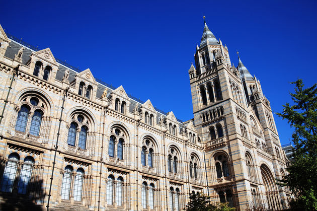 National History Museum in Londen, Engeland